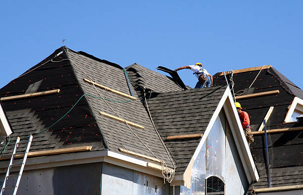 Best Metal Roofing Contractor  in Rossville, IN