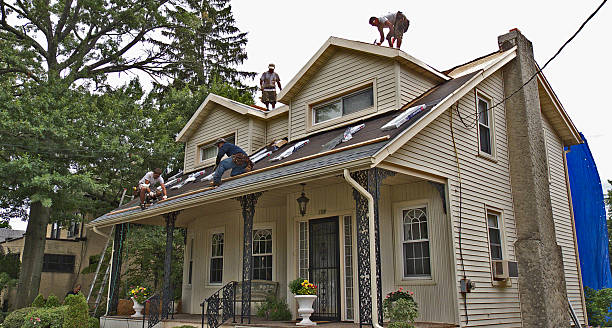 Best Roof Repair Specialists  in Rossville, IN